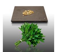 50 Graines D'aromatiques À Semer - Le Grenier D'abondance - Ache De Montagne - Levisticum Officinale