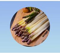 50 graines d'asperge d'argenteuil, variété ancienne hâtive, turions tendres et savoureux