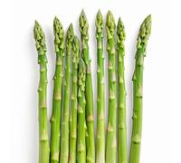 50 Graines d'Asperge Verte