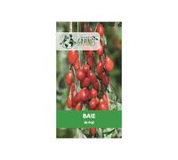 50 Graines de baies de Goji 'Lycium barbarum' - La super baie aux multiples vertus, facile à cultiver pour des récoltes généreuses