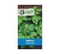50 Graines de Basilic laitue Feuilles Larges - Mammoth - Graines Aromatiques -
