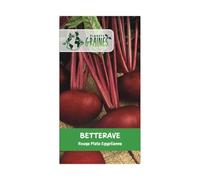 50 Graines de Betterave Égyptienne - Betterave Plate, Variété Précoce et Facile à Cultiver