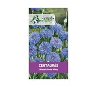 50 graines de centaurée des champs (bleuet) 'blue ball' - fleur sauvage bleu azur classique - annuelle et mellifère pour bouquets