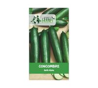 50 graines de concombre Beth Alpha - Doux et non Amer - production abondante