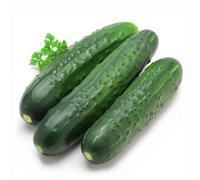 50 Graines de Concombre Marketmore