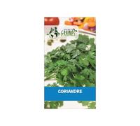 50 Graines de Coriandre - Aventure Culinaire Parfumée Variété Commune Aromate Facile à Cultiver