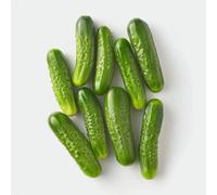 50 Graines de Cornichon vert de Paris