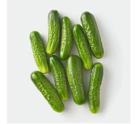 50 Graines de Cornichon vert de Paris - SemiSauvage Permaculture