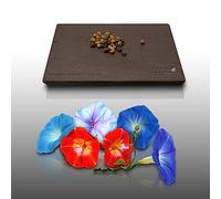 50 Graines De Fleurs À Semer - Le Grenier D'abondance - Ipomee Volubilis - Ipomoea - Mélange Varié