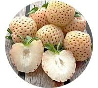 50 graines de fraise blanche/Pineberry/Fragaria x ananassa/Pineapple strawberry/Fraise ananas