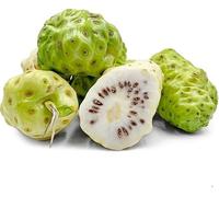 50 graines de fruits de noni