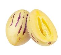 50 graines de melon jaune Pepino