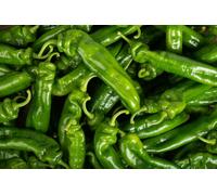 50 Graines De Poivron Corne De Boeuf