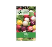 50 Graines de Radis Mixte "Eggs" pour des salades colorées - Facile et rapide à cultiver