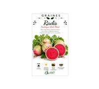 50 Graines de Radis Red Meat (Radis Pastèque) - Semences Potagères