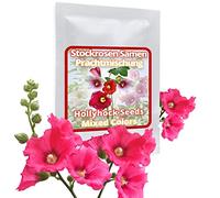 50 graines de roses trémières - mélange multicolore résistant à l’hiver/pluriannuel