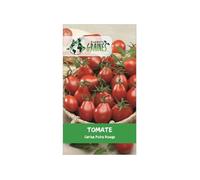 50 graines de tomate cerise poire rouge red fig - variété ancienne productive et décorative - sachet de semences potagères