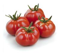 50 Graines de Tomate Red Pear - SemiSauvage Permaculture