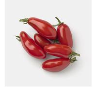 50 Graines de Tomate San Marzano - SemiSauvage Permaculture