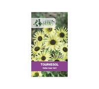 50 Graines de Tournesol Annuel Géant 'Italian Green Heart' (Helianthus) - Fleurs Jaune Citron à Cœur Vert Tendre