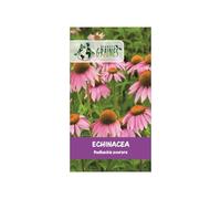 50 graines échinacea pourpre echinacea purpurea, fleur vivace mellifère pour massifs et bouquets