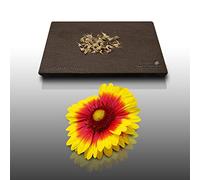 50 graines Fleurs à semer - Le Grenier d'Abondance - GAILLARDE Vivace à double variée - Gaillardia