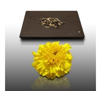 50 Graines Fleurs À Semer - Le Grenier D'abondance - Illet D'inde Ou Rose D'inde - Tagetes Erecta