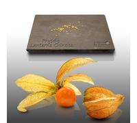 50 graines Fleurs à semer - Le Grenier d'Abondance - LANTERNE Chinoise - PHYSALIS - Coqueret du Pérou
