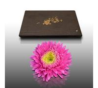 50 Graines Fleurs À Semer - Le Grenier D'abondance - Reine Marguerite Super Princesse - Callistephus Chinensis