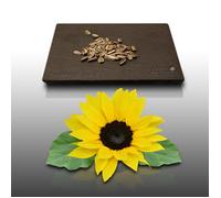50 graines Fleurs à semer - Le Grenier d'Abondance - TOURNESOL Soleil - haie végétale - Helianthus annuus