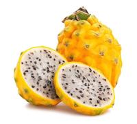 50 Graines FRUIT DU DRAGON - Pitaya JAUNE - Hylocereus megalanthus - Fruit Fleur Jardin - 301