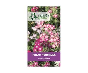50 graines phlox twinkles - fleurs étoilées - Drummond de phlox Twinkle étoiles - graines Phlox Drummonda