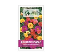 50 graines POURPIER Grandes fleurs Double - portulaca Grandiflora - coloris en mélange