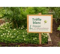 50 grammes à semer - Le Grenier d'Abondance - Tréfle Blanc - Trifolium repens