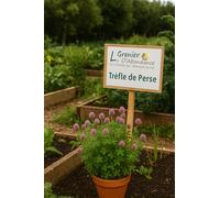 50 grammes à semer - Le Grenier d'Abondance - Tréfle de Perse - Trifolium resupinatum