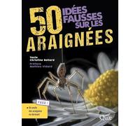 50 idées fausses sur les araignées