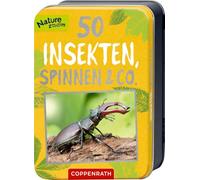 50 Insekten, Spinnen & Co.