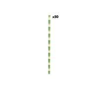 50 Pailles fantaisie en papier Bambou vert