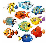 50 PCS Découpes de Poissons Tropicaux, Poissons Colorés Accents d'animaux de Mer Découpes Tableau d'Affichage Décoration de Salle de Classe en 10 Designs Fournitures de Fête sur Le Thème de l'Océan