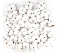 50 Pcs Fleurs De Tête De Coton Naturelle Fleurs De Tête De Coton Séchées Décoration De Tête En Coton Naturel Für Die Perfekte Hochzeit Blumen Arrangements Heim Decor Diy Dekoration Home Party