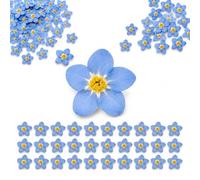50 PCS Fleurs Séchées de Myosotis Naturelles, Véritables Fleurs Pressées pour Résine, Scrapbooking, Bijoux DIY, Bougies, Savons et Décoration d'Ongles