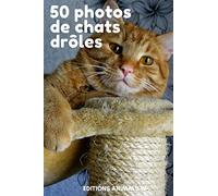 50 PHOTOS DE CHATS DRÔLES