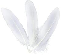 50 pièces 15-20 cm Plumes d'oie Blanches Plume Bricolage Plumes 50 pièces Artisanat Blanc Naturel Beau mariageMagnifique Conception