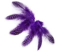 50 pièces 5-10 cm plumes de pintade naturelles tachetées artisanat plumes de poulet belles plumes d'extension de mouette for la décoration intérieure plumes(Violet)