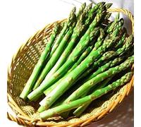 50 Pièces Asperges Des Graines Semences De Légumes Vivaces Sans OGM Facile à Planter Convient Aux Jardiniers Débutants Jardinage à Domicile Ajouter De La Couleur Au Jardin De La Maison