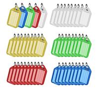 50 Pièces Étiquette de Porte-clés, Porte-clés en Plastique, Étiquettes avec Porte Clé, Étiquette Interchangeable, avec Anneau Fendu, pour clés, animaux de compagnie (5 Couleurs 10 Pièces Chacune)