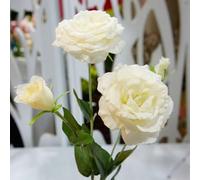 50 Pièces Graines d'Eustoma, Graines Fleurs à Semer, Graine de Fleurs d'Eustoma, Facile à Planter, Graine de Lisianthus pour Jardin et Balcon, Semences de Lisianthus, Belles Fleurs (Style N)