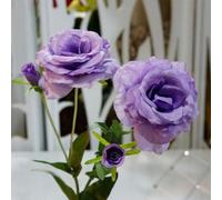 50 Pièces Graines d'Eustoma, Graines Fleurs à Semer, Graine de Fleurs d'Eustoma, Facile à Planter, Graine de Lisianthus pour Jardin et Balcon, Semences de Lisianthus, Belles Fleurs (Style J)