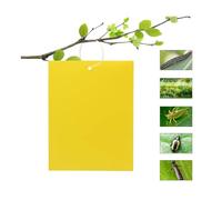 50 Pièces Pièges à Insecte, Papier Collant Double Face,Jaune Sticky Papiers pour Mouches Blanches, Pucerons, (15 cm x 20 cm )