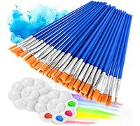50 Pièces Pinceaux Peinture Acrylique Avec 2 Palettes - Nylon Art Pinceaux Enfants, Artiste Plume Lisse Pour Aquarelle, Gouache et Huile